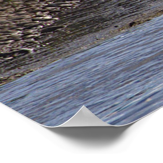 Ducks in Water Poster ポスター (角)