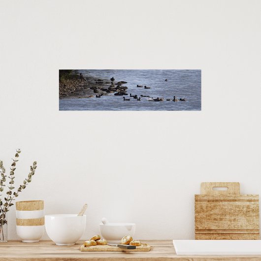Ducks in Water Poster ポスター (キッチン)