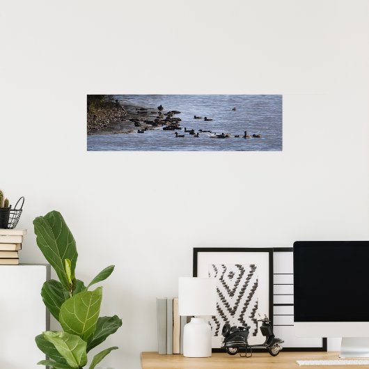 Ducks in Water Poster ポスター (ホームオフィス)