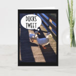 DUCKS TWEETING HAPPY BIRTHDAY TO MY TWIN カード<br><div class="desc">TWIN DUCKS TWEETING HAPPY BIRTHDAY TO "THEIR TWIN"</div>