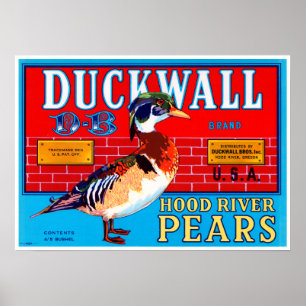 Duckwallフッド川のナシ ポスター