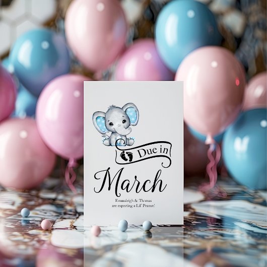 Due in Marchリトルピーナッツ男の赤ちゃんゾウ ポストカード