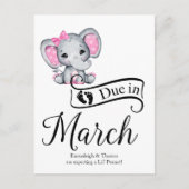 Due in March Little Peanut Baby Girl Elephant ポストカード (正面)