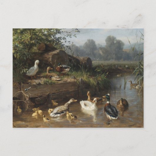 Duks by the Stream by Carl Jutz ポストカード (正面)