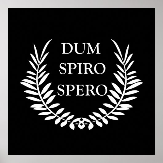 dum spiro spero ポスター (正面)