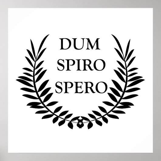 Dum spiro spero ポスター (正面)
