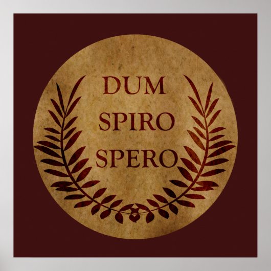 dum spiro spero, ラテン語のフレーズ ポスター (正面)