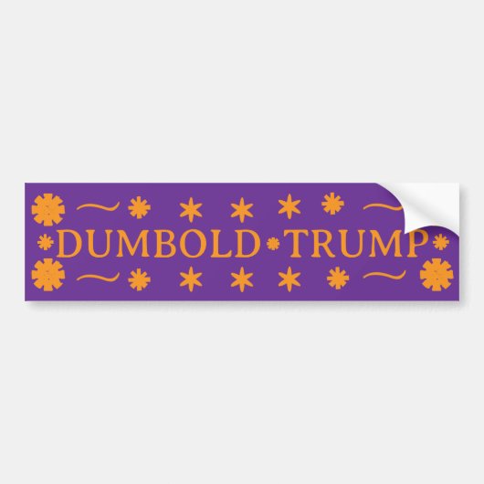 DUMBOLD TRUMP - バンパーステッカー (正面)