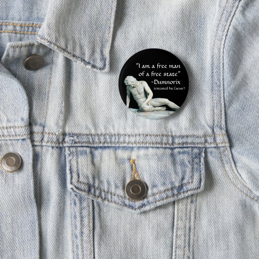 Dumnorix 缶バッジ (インサイチュ)