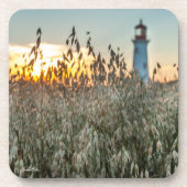 d'un phare dans un champs コースター (正面)