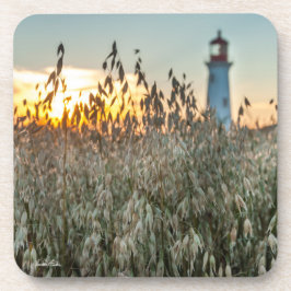 d'un phare dans un champs コースター
