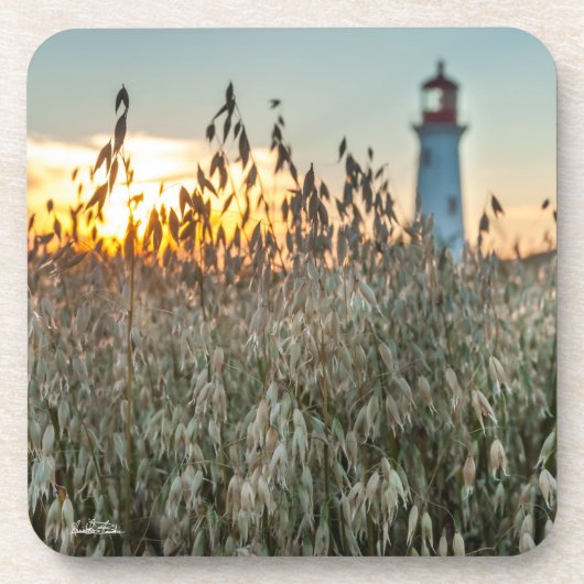 d'un phare dans un champs コースター (正面)
