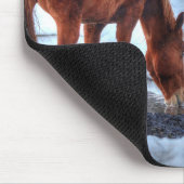 Dun Ranch Horseプールでの飲みウマ科の物 マウスパッド (コーナー)