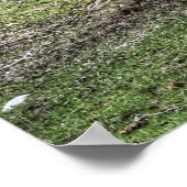 Dun Ranch Horse Cantering in Forest ウマ科の Photo ポスター (角)