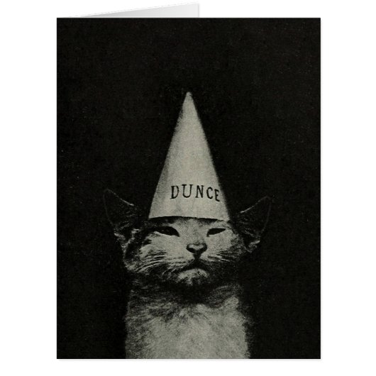 Dunce Cat – 大きなカード/招待状 (正面)