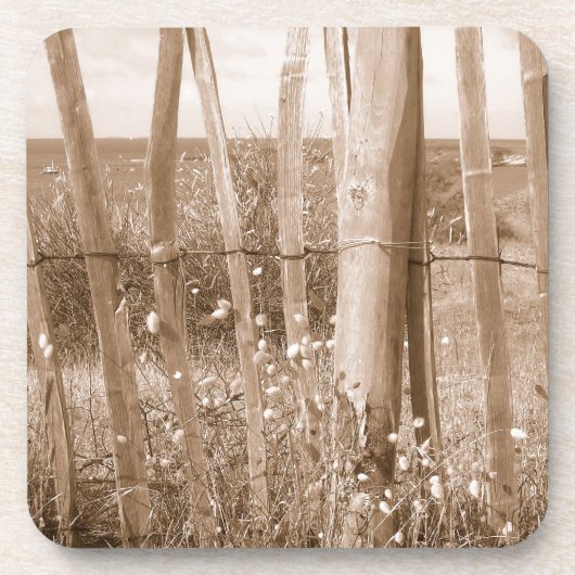 dune コースター (正面)