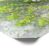 Dunes IBSPポスターに対するフェンス ポスター (角)