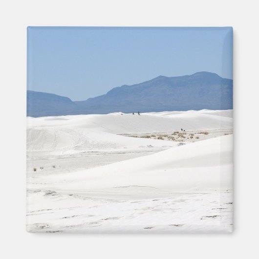Dunes with Mountain view マグネット (正面)