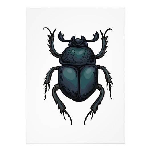 Dung beetle フォトプリント            (正面)