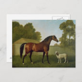 Dungannonの大佐のO'Kelly特性 ポストカード (正面/裏面)