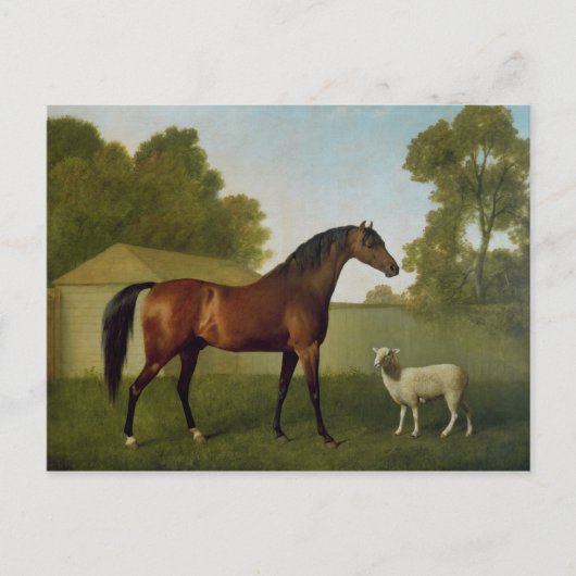 Dungannonの大佐のO'Kelly特性 ポストカード (正面)