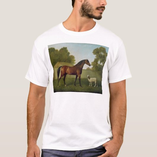 Dungannonの大佐のO'Kelly特性 Tシャツ (正面)