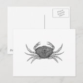 Dungeness Crabロゴ(ラインアート) ポストカード (正面/裏面)