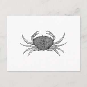Dungeness Crabロゴ（ラインアート） ポストカード