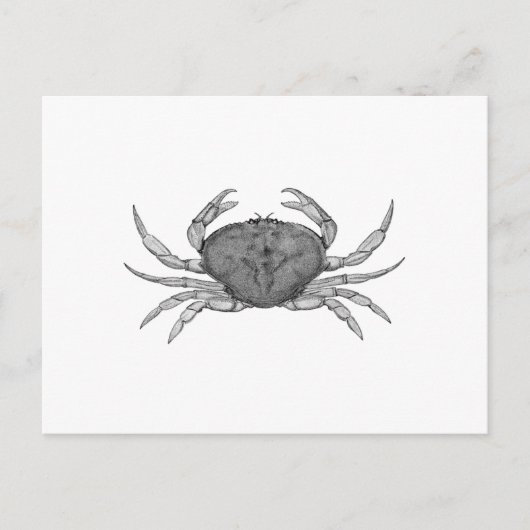 Dungeness Crabロゴ(ラインアート) ポストカード (正面)
