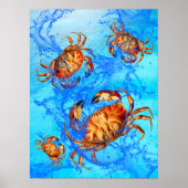 Dungeness Crabsポスター ポスター (正面)