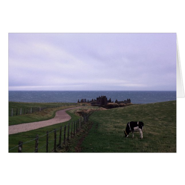 Dunnottarの城 (正面横)