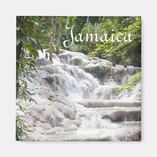 Dunn's Riverカスタマイズ秋写真 マグネット (正面)