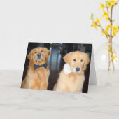 Duoを装う カード (黄色い花)