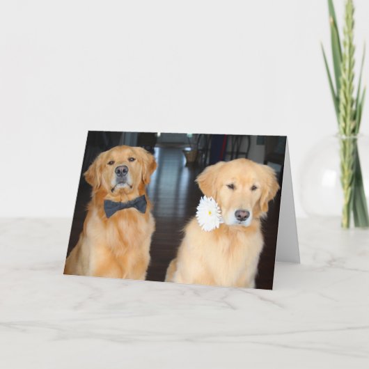 Duoを装う カード (正面)