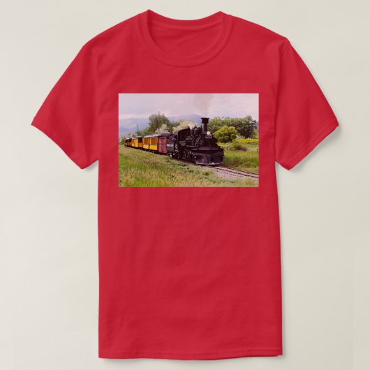 DurangoとSilvertonエンジニアがトラック1をチェック Tシャツ (デザイン正面)