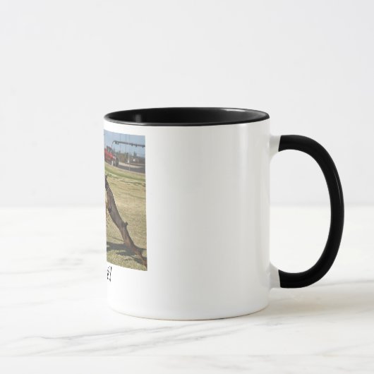 "Dursh " マグカップ (右)