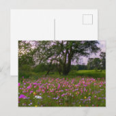 Dusk in the Countryの紫色のワイルドフラワー シーズンポストカード (正面/裏面)