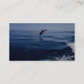 Duskyイルカ、側面図、急降下 名刺 (裏面)