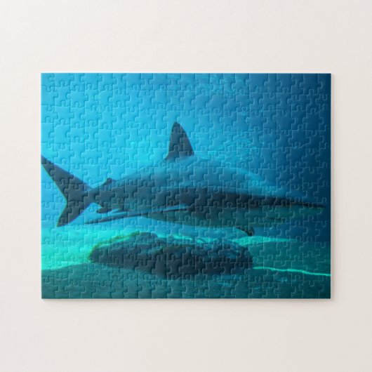 Dusky Shark (Carcharhinus Obscurus)、Ushaka ジグソーパズル (横)