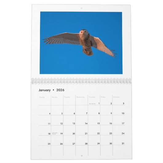 Dustinガブリエルの写真撮影2015のカレンダー カレンダー (1月 2026)