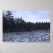 Dusting of Snow at the Bog ポスター (正面)