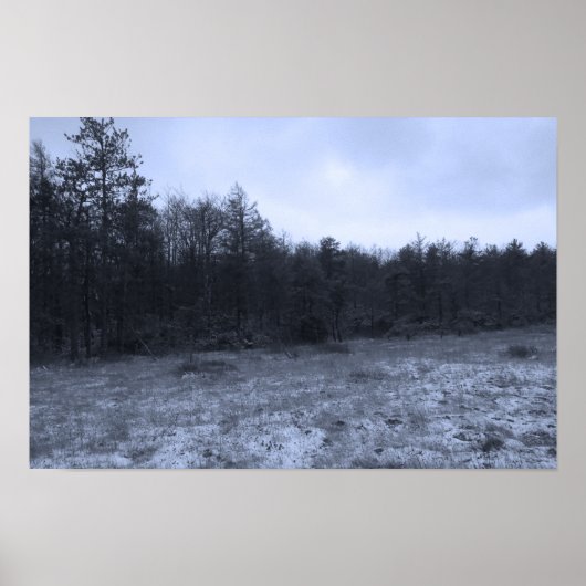 Dusting of Snow at the Bog ポスター (正面)