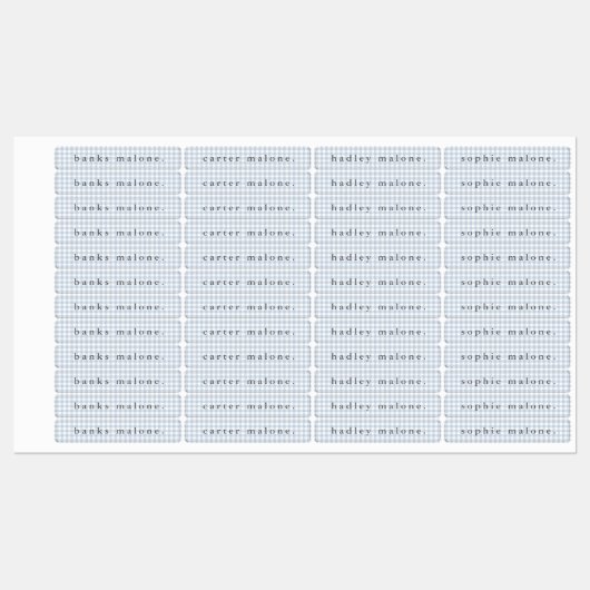 Dusty Blue Gingham Waterproof Name ラベル (シート)