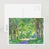 Dutch Salland Region Westerveldse Bos Forest ポストカード (正面/裏面)