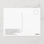 Dutch Salland Region Westerveldse Bos Forest ポストカード (裏面)