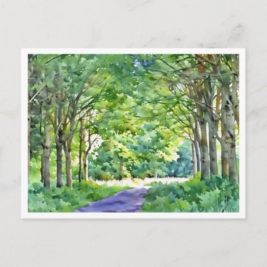 Dutch Salland Region Westerveldse Bos Forest ポストカード (正面)