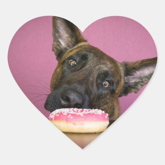 Dutch shepherd versus donut ハートシール (正面)