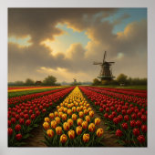 Dutch Tulip Fields ポスター (正面)