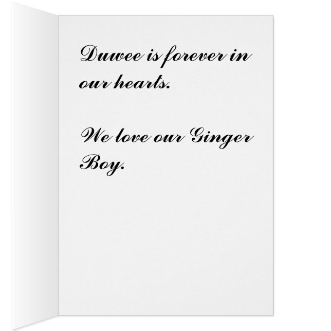 Duwee (内側 (右))