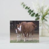 DX – 美しい馬はがき ポストカード (スタンド正面)